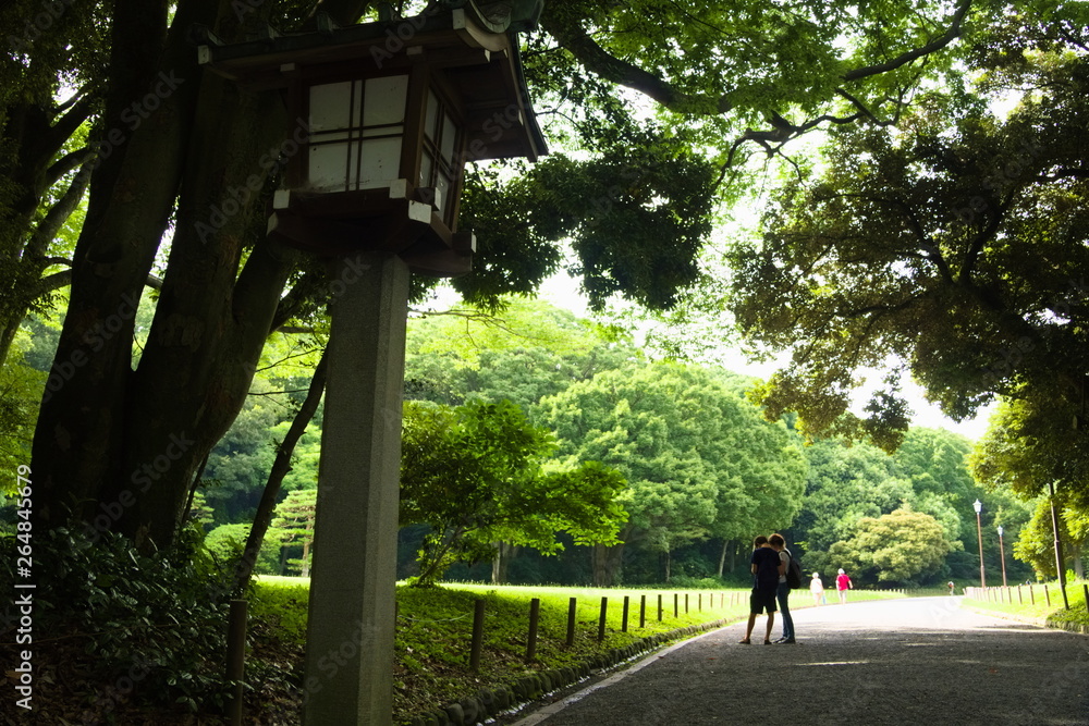 bridge in the park