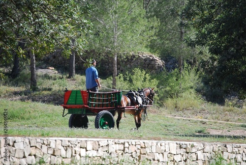 Horse Carriages in San Vicente Lliria Park, Spain