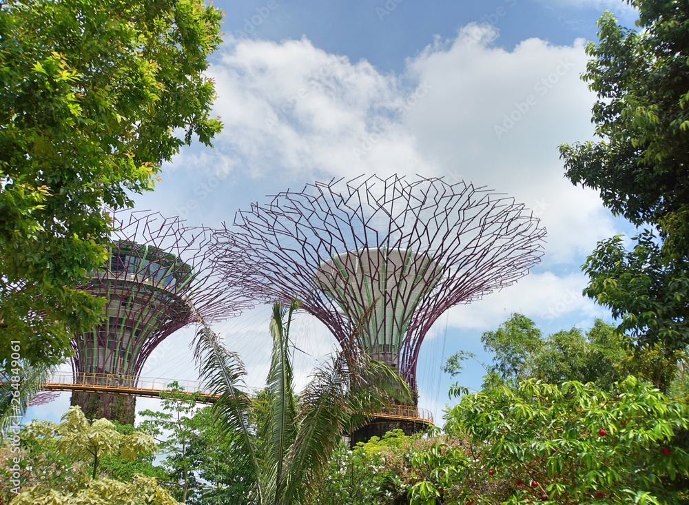 Fototapeta premium Supertrees