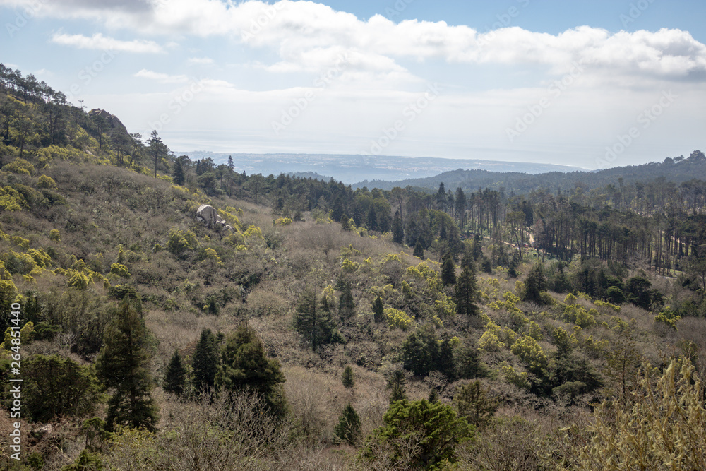 Obraz premium view of mountains