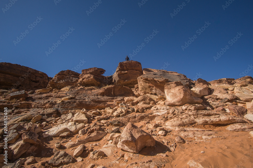 Amazing moments in South Sinai , Egypt. Its a perfect place for those who are looking for a beautiful beaches and an amazing desert and mountains scenery.