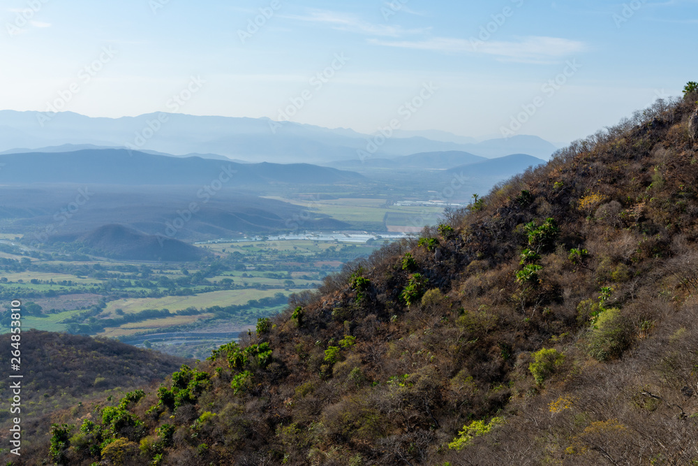 Naklejka premium paisaje