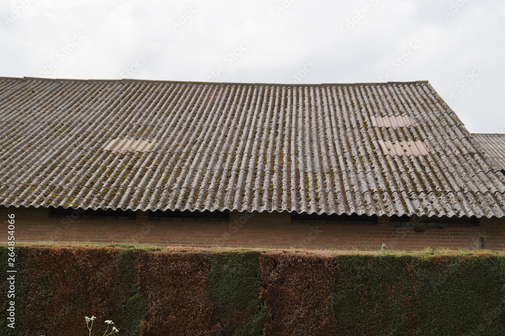 Fototapeta premium roof with asbestos plates