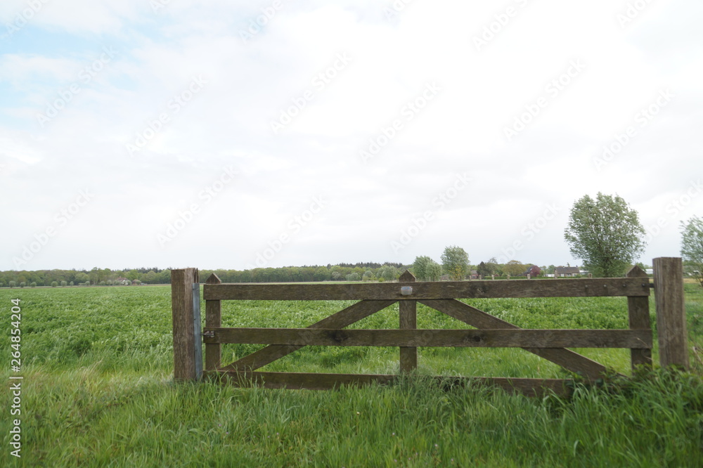 old wooden fence in a field