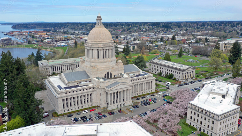 Spring Cherry Blossoms at the State Capital Building in Olympia Washington - obrazy, fototapety, plakaty 