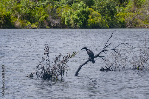 Koggala lake in Galle District, Southern Sri Lanka photo