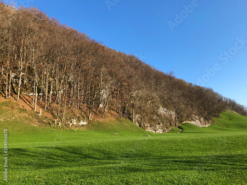 Alpine pastures and meadows in the Apenzellerland region and in the Schwendebach steam valley - Canton of Appenzell Innerrhoden (AI), Switzerland photo