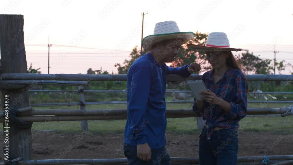 Couple Asian or farmer with herd of cows in cowshed on dairy farm. Couple Asian or farmer with herd of cows in cowshed on dairy farm.