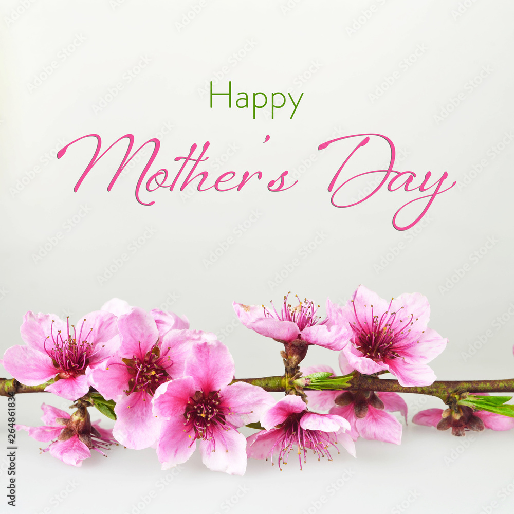 Happy Mothers Day card with spring flowers on pink background
