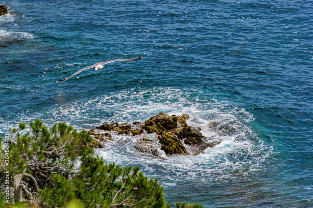 Naklejka premium Beautiful view of clear mediterranean sea waves crash on rocks at wild stone beach in Europe. Blanes, Costa Brava, Spain.