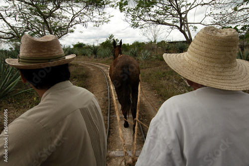 People move around the Hacienda Sotuta de Peon on a horse pulled cart running on rails, Tecoh, Yucatan, Mexico photo