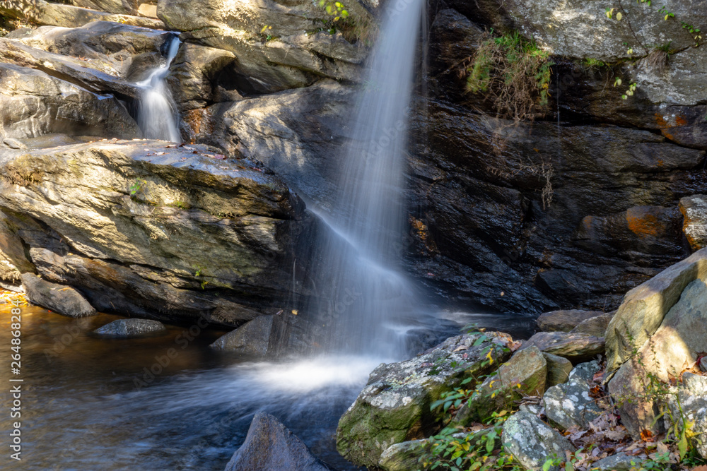 Obraz premium waterfall in forest