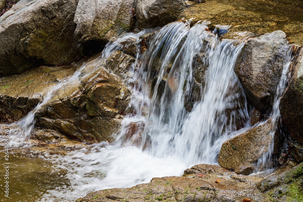 Fototapeta premium Mountain stream in the forest at Shionoe town ,Shikoku,Japan