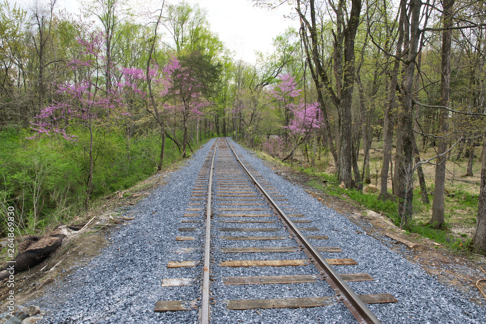 Fototapeta premium New Rail Road Track on 1830's Right of Way