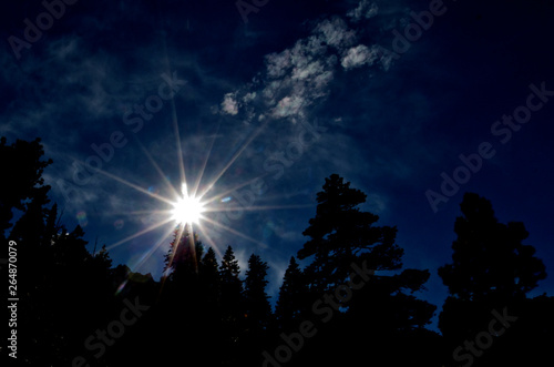 Starburst over conifer forest, Inyo National Forest, California  photo