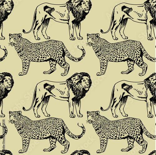 Photography Wild cats