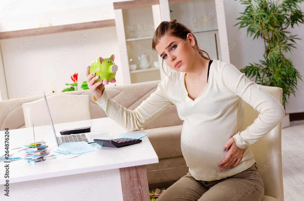 Young pregnant woman in budget planning concept Young pregnant woman in budget planning concept