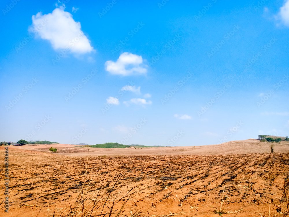 Arid land that has been burned the trees to clear the  ground.