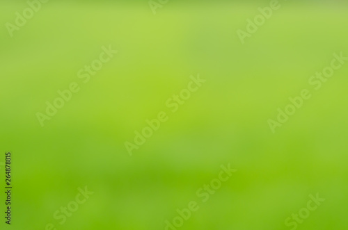 fresh condition and blur green leaves on green background