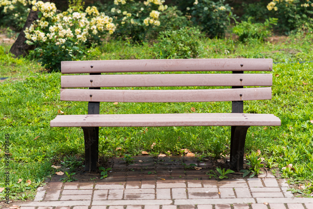 A bench in a beautiful park
