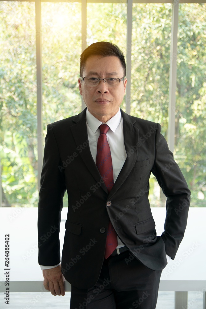 Portrait of confident in formally dressed mature businessman standing in front of a large modern office window Portrait of confident in formally dressed mature businessman standing in front of a large modern office window