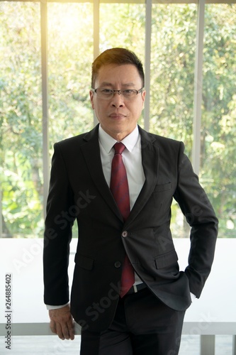 Portrait of confident in formally dressed mature businessman standing in front of a large modern office window