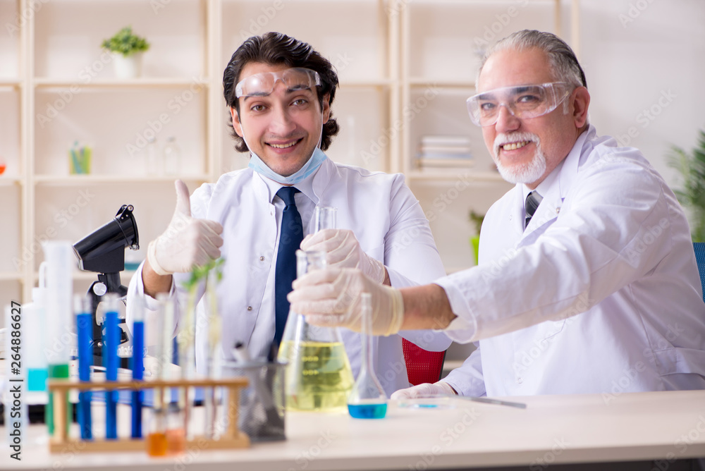 Two chemists working in the lab Two chemists working in the lab