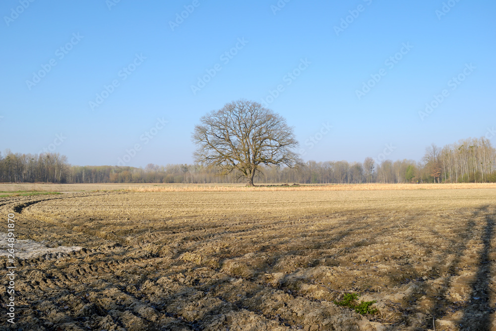 Landscape shot in Mitterkirchen Machland / Austria Landscape shot in Mitterkirchen Machland / Austria