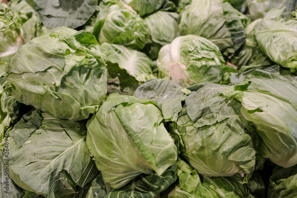 Cabbage background. Fresh cabbage from farm field. Close up macro view of green cabbages. Vegetarian food concept. Cabbage background. Fresh cabbage from farm field. Close up macro view of green cabbages. Vegetarian food concept.