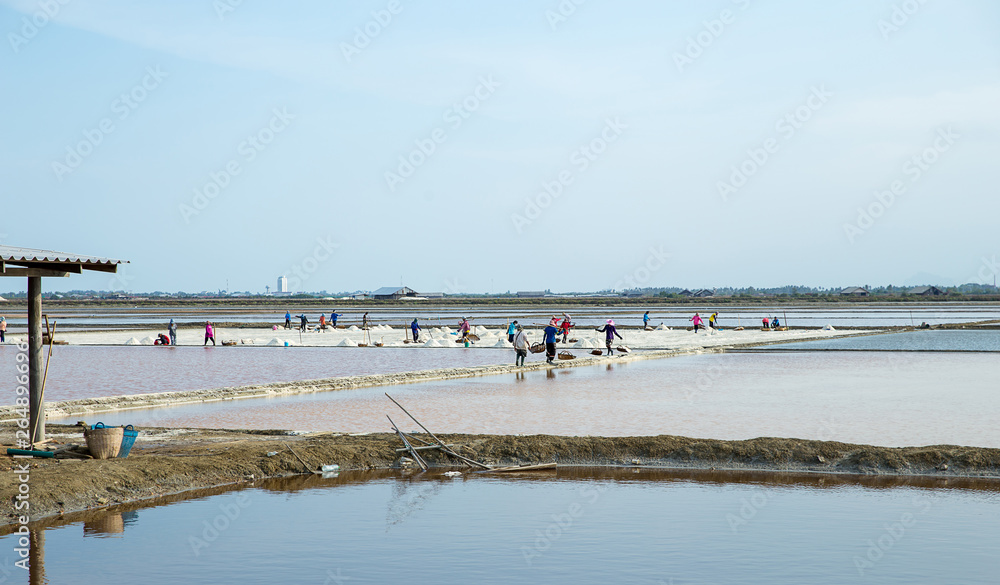 Obraz premium Teamwork of people carry heavy loads salt from salt field