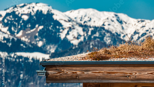 Beautiful alpine winter view at the Buchensteinwand-Tyrol-Austria photo