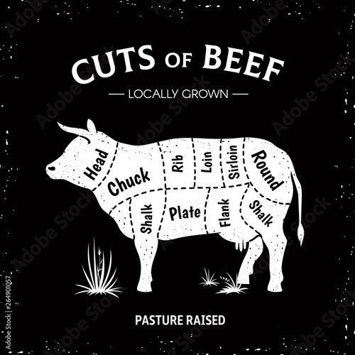 Butcher cow poster. White beef diagram, cow silhouette vintage logo, restaurant menu beef cut template. Vector butcher beef illustration guide diagram