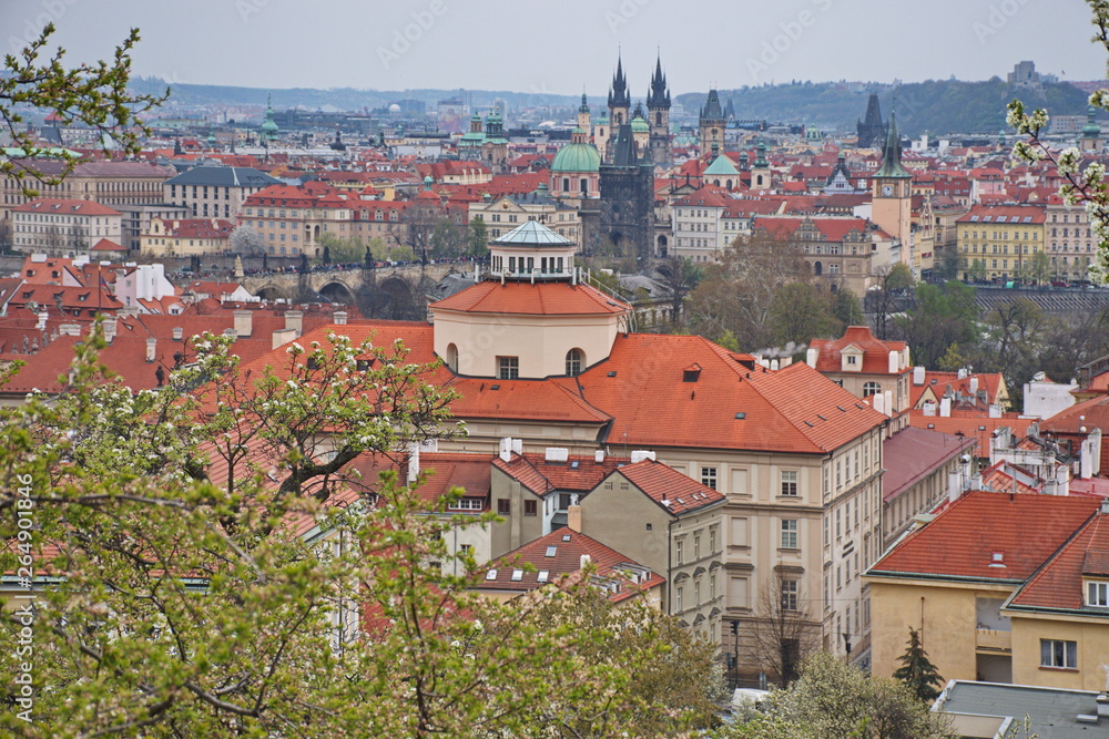 Fototapeta premium Prague cityscape from the Vrtba gardens