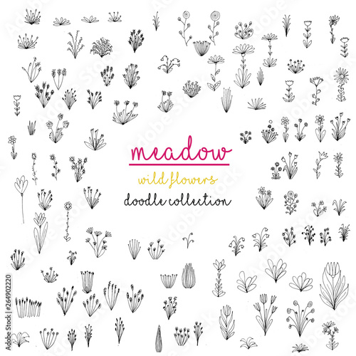 vector hand drawn collection of cute doodle flowers,drawn in black outlines,isolated on colored background, spring graphic texture of meadow, wedding or birthday card illustration