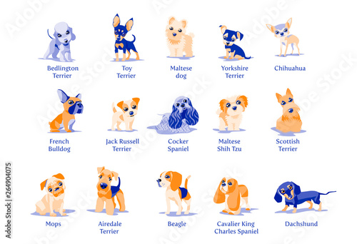 Vector illustration of dogs puppies different breeds isolated on white background