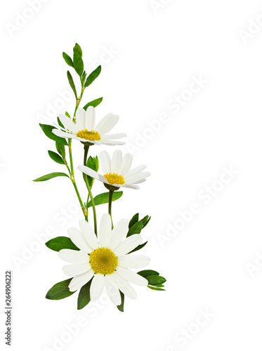 Daisy flowers  in a corner floral arrangement photo