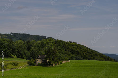 gruene natur mit einem haus