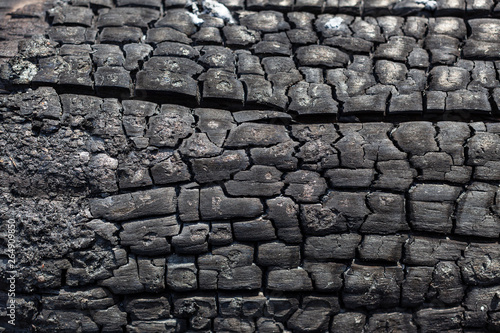Background from a black surface of the burned charred wooden board