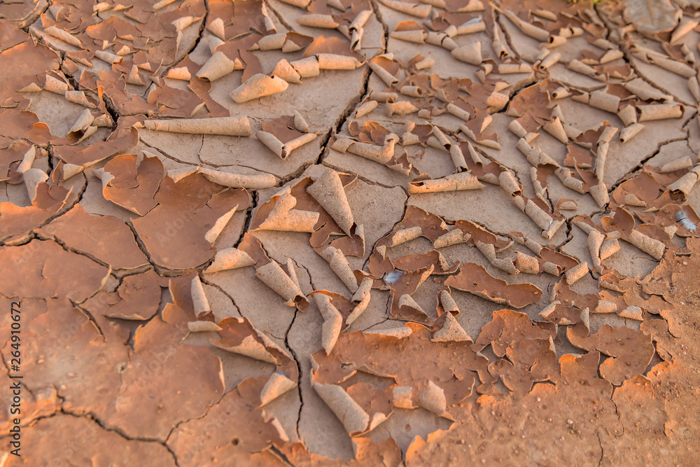 Ground in drought,soil texture and dry mud,land with dry cracked ground Ground in drought,soil texture and dry mud,land with dry cracked ground