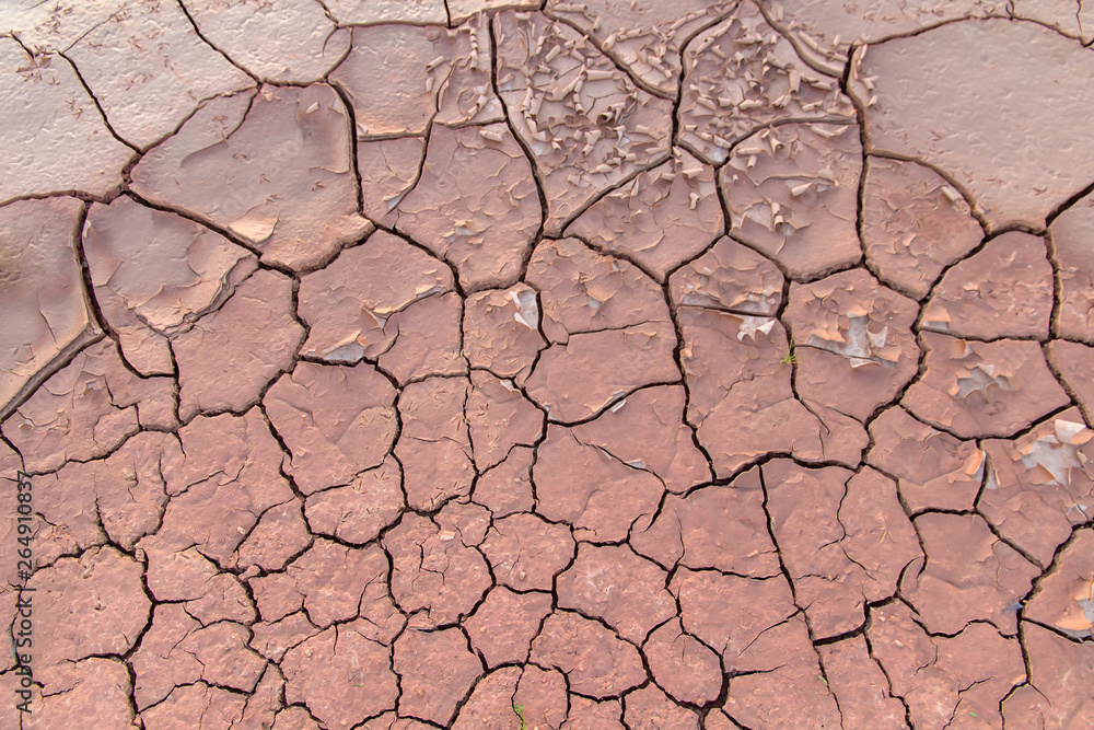Fototapeta premium Ground in drought,soil texture and dry mud,land with dry cracked ground