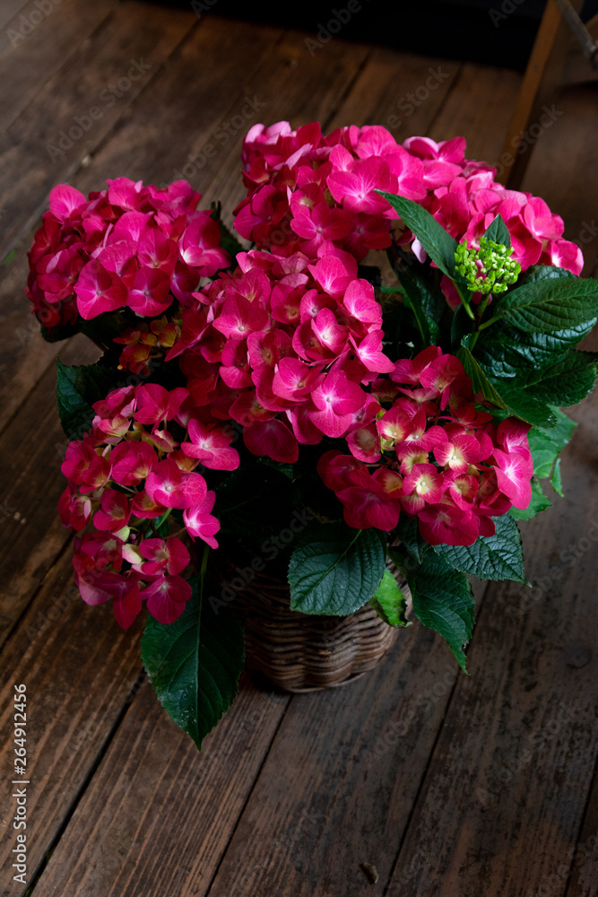 flower, flowers, wedding, bouquet, white, table, vase, decoration, green, rose, beautiful, floral, nature, yellow, plant, interior, beauty, red, home, celebration, love, pink, blossom, roses, anemone, flower, flowers, wedding, bouquet, white, table, vase, decoration, green, rose, beautiful, floral, nature, yellow, plant, interior, beauty, red, home, celebration, love, pink, blossom, roses, anemone,