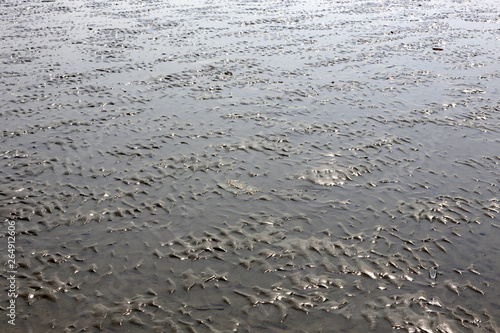 Traces de l'eau sur le sable. / Traces of water on the sand.