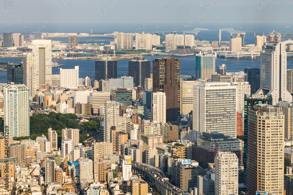 Panoramic aerial view on ultramodern busy capital city from a high skyscraper. Breathtaking cityscape seen on a summer day in Roppongi, Minato-ku district, Tokyo, Japan, Asia