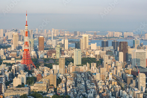 Panoramic aerial view on ultramodern busy capital city from a high skyscraper. Breathtaking cityscape seen on a summer day in Roppongi, Minato-ku district, Tokyo, Japan, Asia