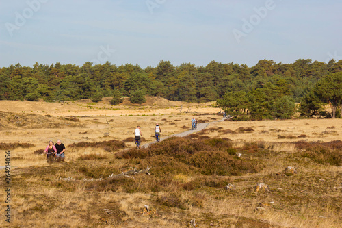 Cycling trough the woods in national park De hoge veluwe in the Netherlands in autumn photo