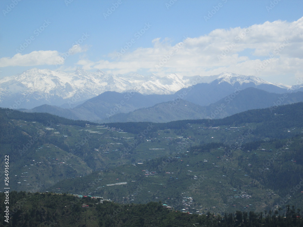 Obraz premium nature