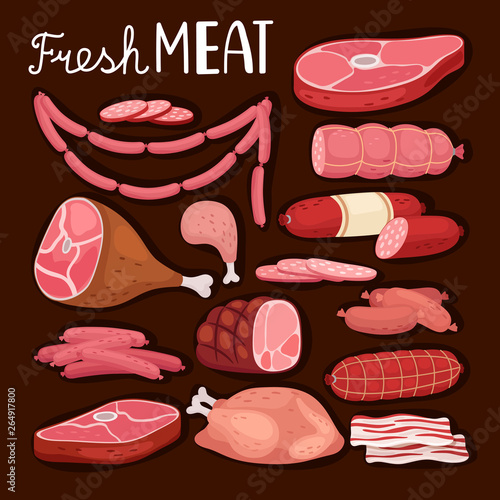 Sausages illustration. Fresh meat and boiled sausage, salami and chicken, raw sliced pork tenderloin and cooked ham for barbeque meal and gourmet shopping vector illustration