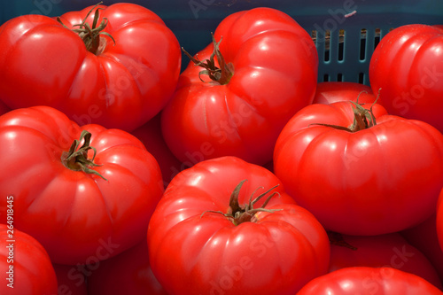 red beef steak tomatoes for sale macro shot, big red beef tomatoes on a market in bavaria