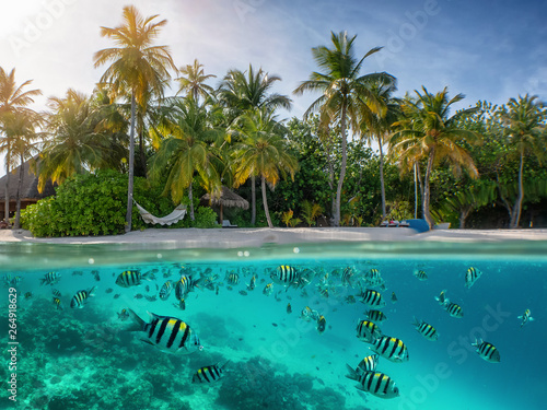 Blick auf einen tropischen Strand mit Palmen und bunten Fischem im türkisem Meer, Malediven