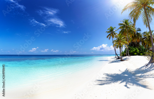 Fototapeta Naklejka Na Ścianę i Meble -  Panorama eines tropischen Strandes auf den Malediven mit Palmen, türkisem Ozean und Sonnenschein